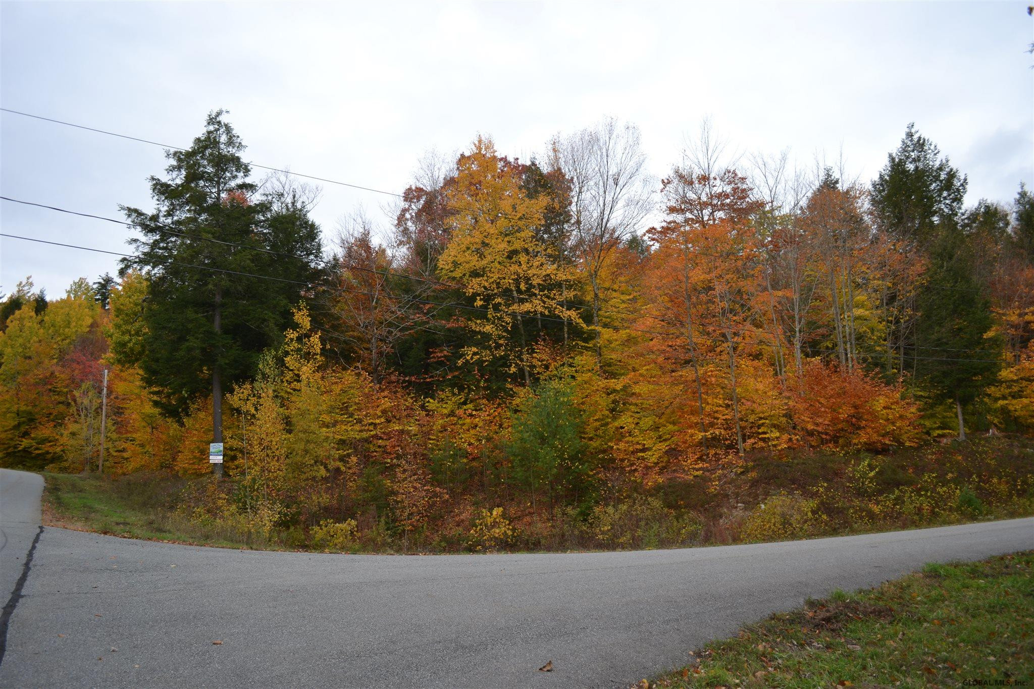 162 Diamond Ridge Road Bolton, NY 12824 - Photo 4 of 16 Photo 4