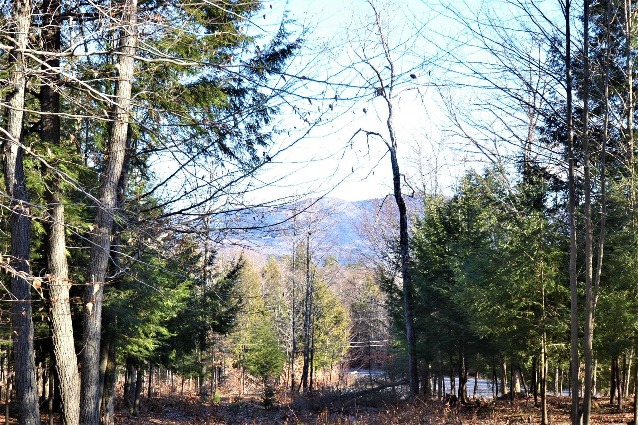 162 Diamond Ridge Road Bolton, NY 12824 - Photo 6 of 16 Photo 6