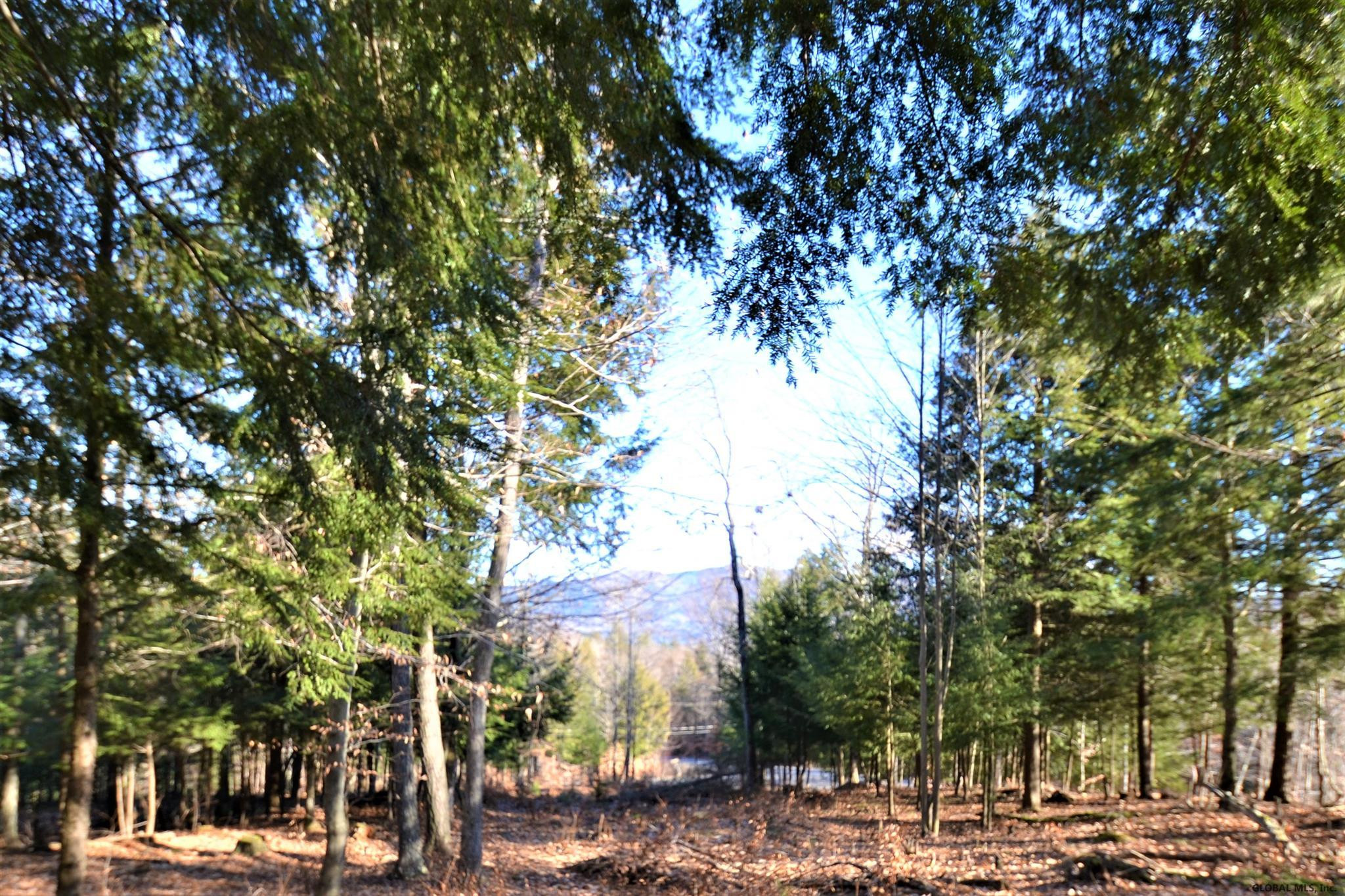 162 Diamond Ridge Road Bolton, NY 12824 - Photo 7 of 16 Photo 7