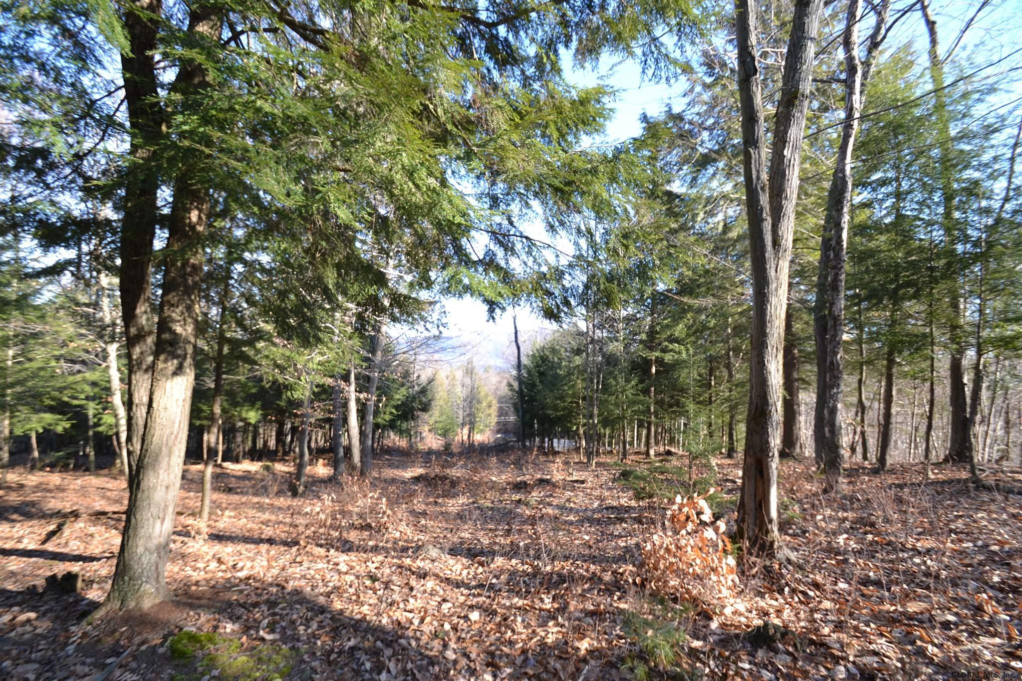 162 Diamond Ridge Road Bolton, NY 12824 - Photo 8 of 16 Photo 8