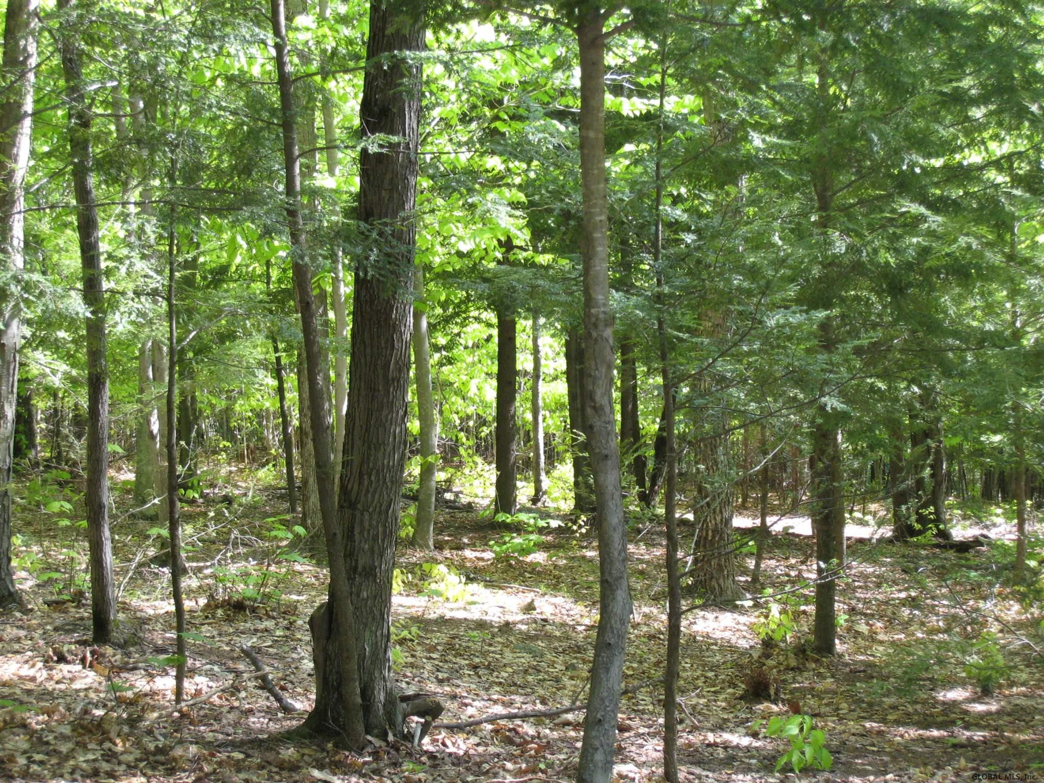 162 Diamond Ridge Road Bolton, NY 12824 - Photo 9 of 16 Photo 9