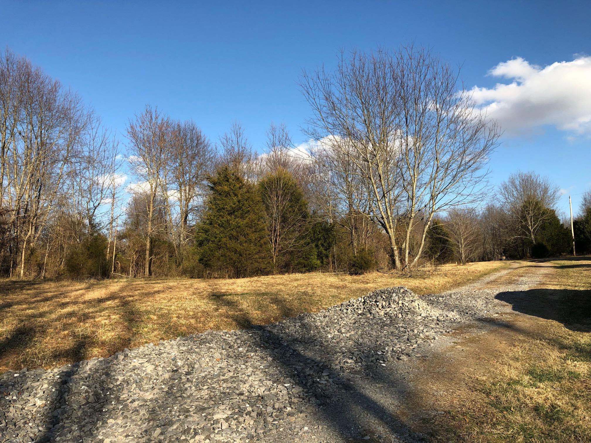 0 Wills Road Cross Plains, TN 37049 - Photo 2 of 2 a view of road with large trees