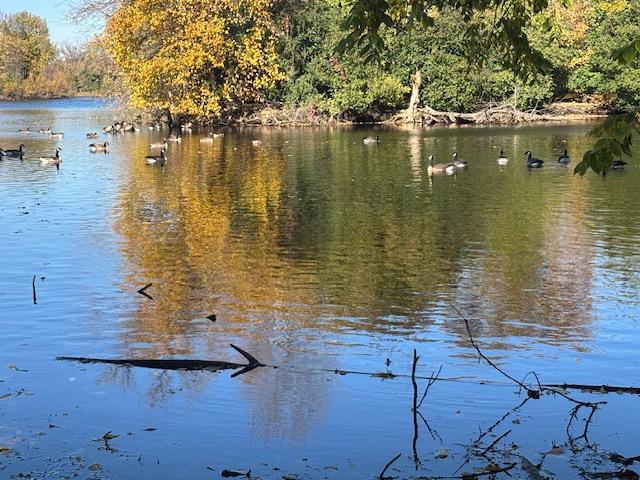 6618 Park Avenue Richfield, MN 55423 - Photo 58 of 68