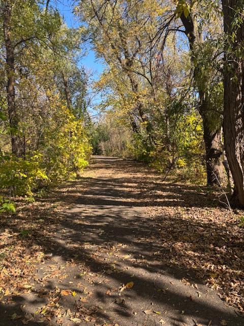 6618 Park Avenue Richfield, MN 55423 - Photo 59 of 68
