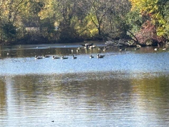 6618 Park Avenue Richfield, MN 55423 - Photo 60 of 68