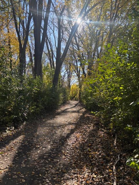 6618 Park Avenue Richfield, MN 55423 - Photo 61 of 68