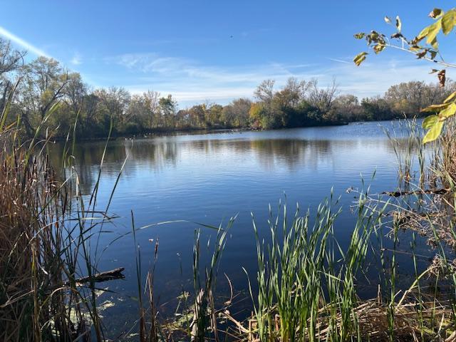 6618 Park Avenue Richfield, MN 55423 - Photo 63 of 68