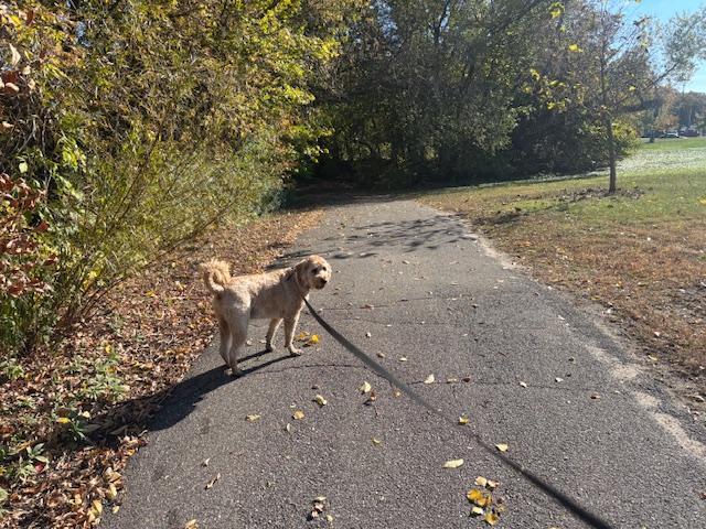 6618 Park Avenue Richfield, MN 55423 - Photo 64 of 68