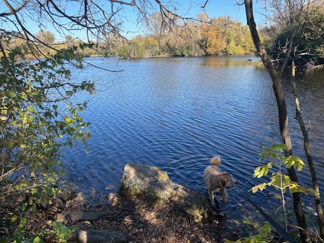 6618 Park Avenue Richfield, MN 55423 - Photo 65 of 68