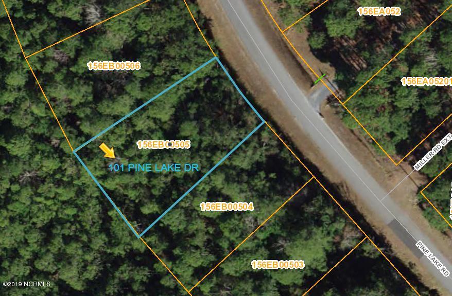 101 Pine Lake Road Boiling Spring Lakes, NC 28461 - Photo 1 of 1 AERIAL