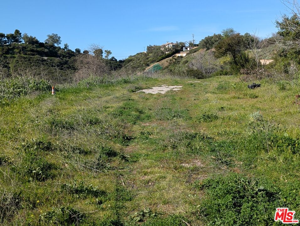 2000 Corsham Road Topanga, CA 90290 - Photo 12 of 29 a view of a lush green forest with lots of trees
