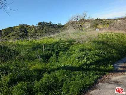 a view of a lush green forest with lots of trees