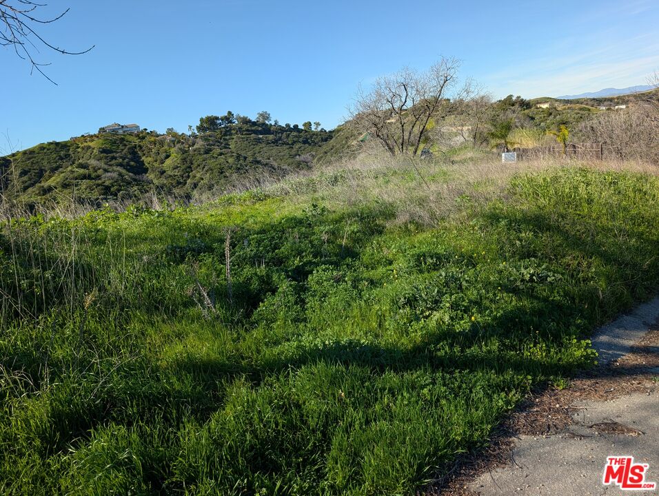 2000 Corsham Road Topanga, CA 90290 - Photo 15 of 29 a view of a lush green forest with lots of trees