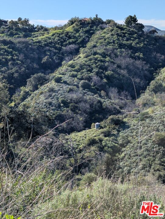 2000 Corsham Road Topanga, CA 90290 - Photo 16 of 29 a view of outdoor space and covered by trees