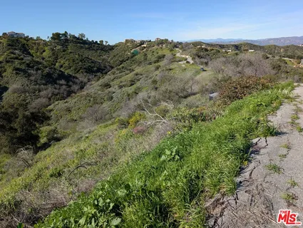 a view of a city with lush green forest