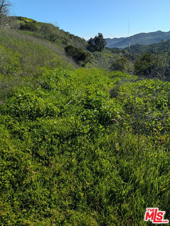 2000 Corsham Road Topanga, CA 90290 - Photo 20 of 29 a view of a lush green hillside and a house
