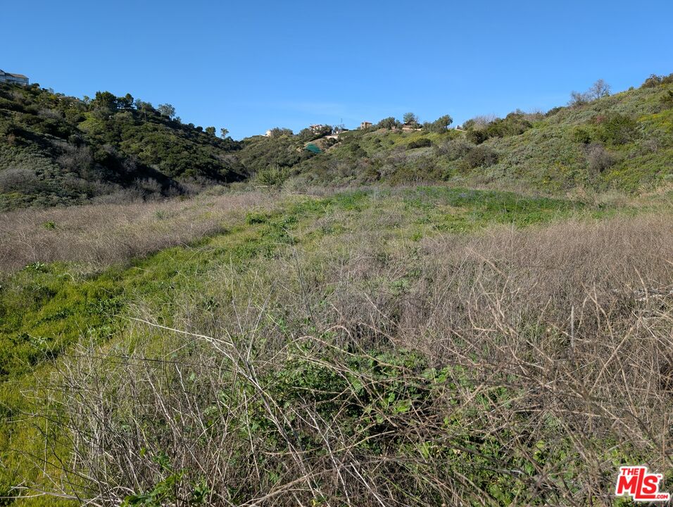 2000 Corsham Road Topanga, CA 90290 - Photo 22 of 29 a view of a lush green forest with a mountain