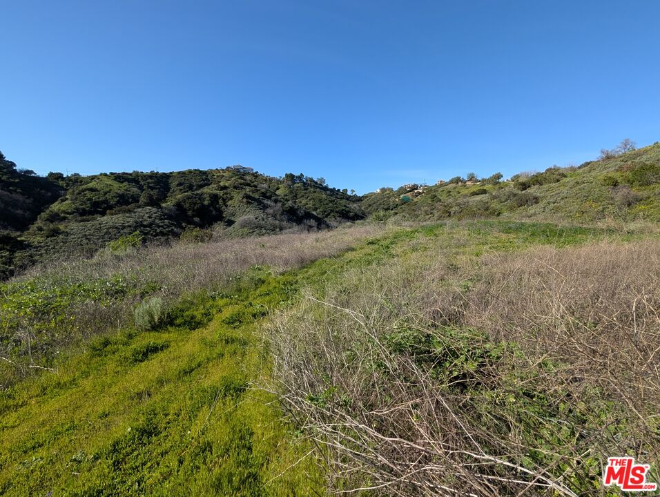 2000 Corsham Road Topanga, CA 90290 - Photo 23 of 29 a view of a dry yard with mountains in the background