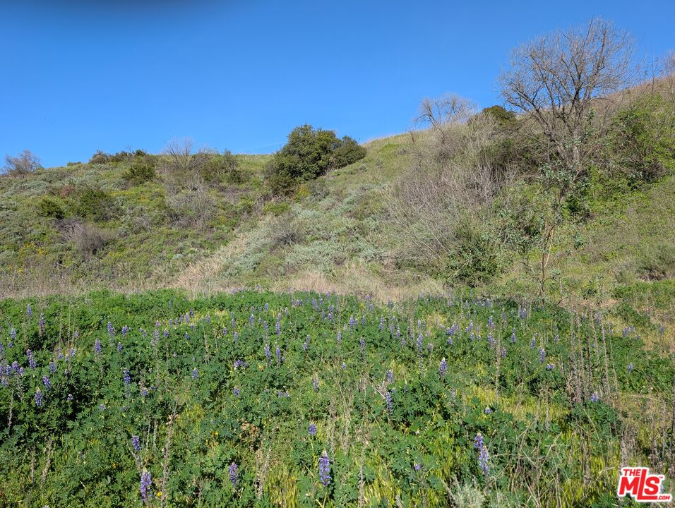 2000 Corsham Road Topanga, CA 90290 - Photo 27 of 29 a view of a mountain