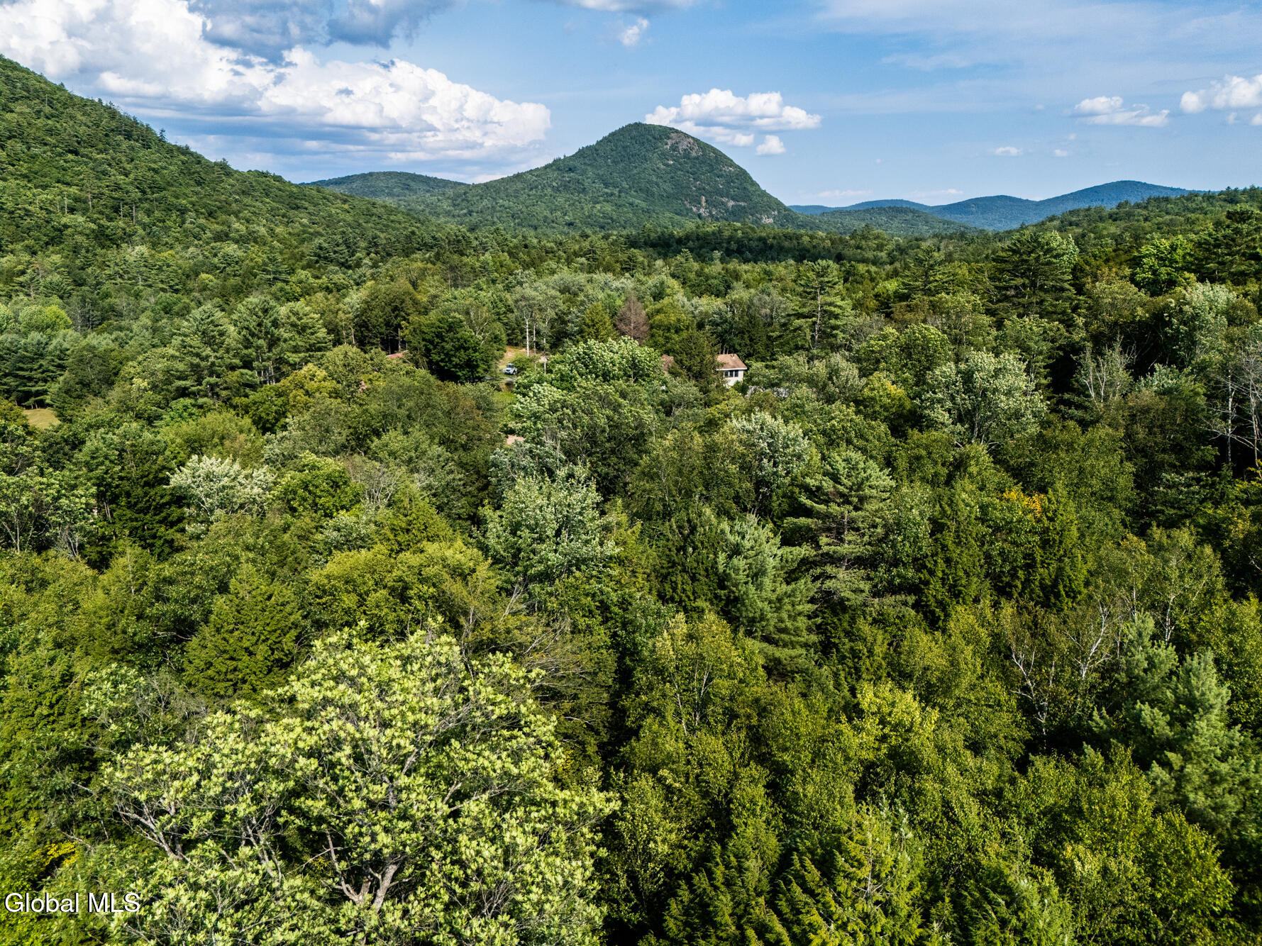 144 Thomas Road Lake Luzerne, NY 12846 - Photo 4 of 10 DJI_20250730162305_0395_D