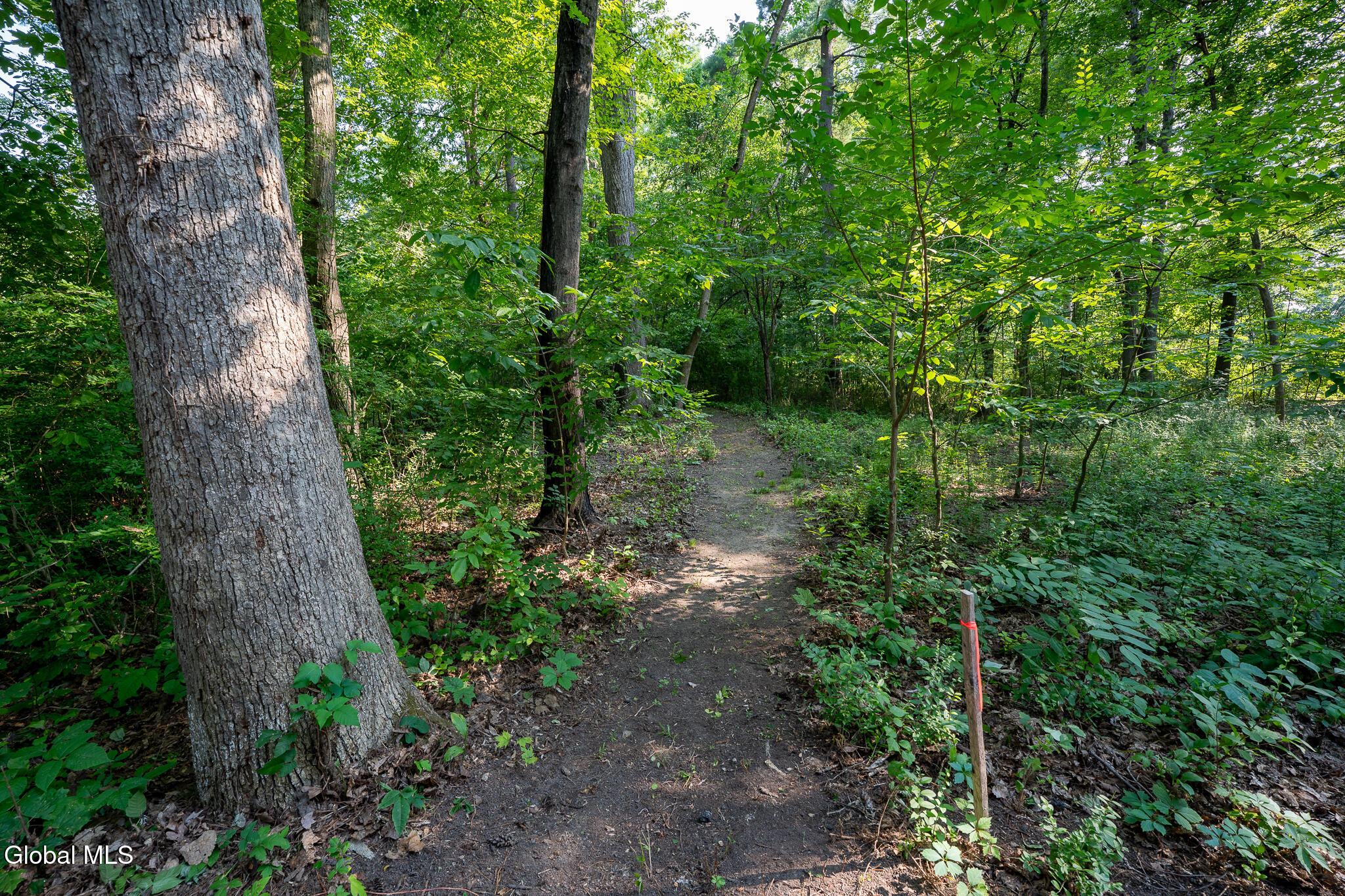 47 Wheeler Road Bethlehem, NY 12077 - Photo 2 of 8 DSC09216-HDR