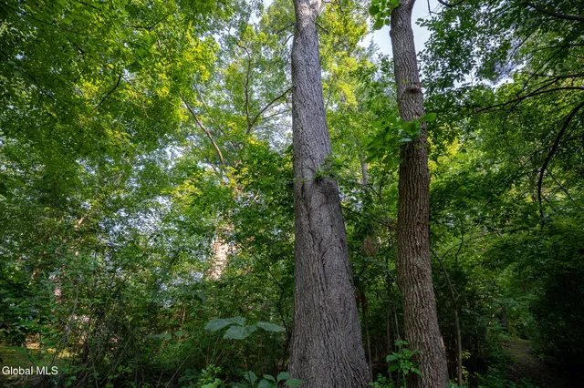 $99,900 | 47 Wheeler Road, Bethlehem, NY 12077