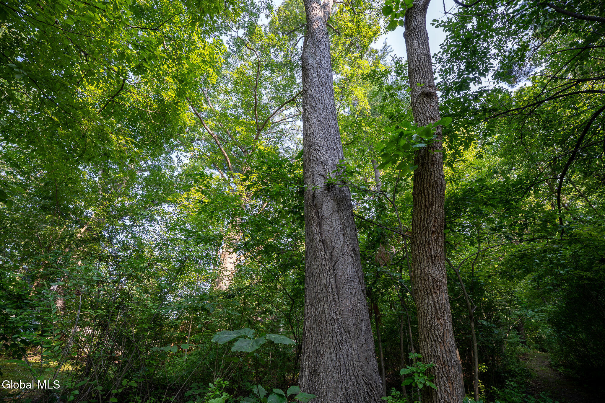 47 Wheeler Road Bethlehem, NY 12077 - Photo 3 of 8 DSC09221-HDR