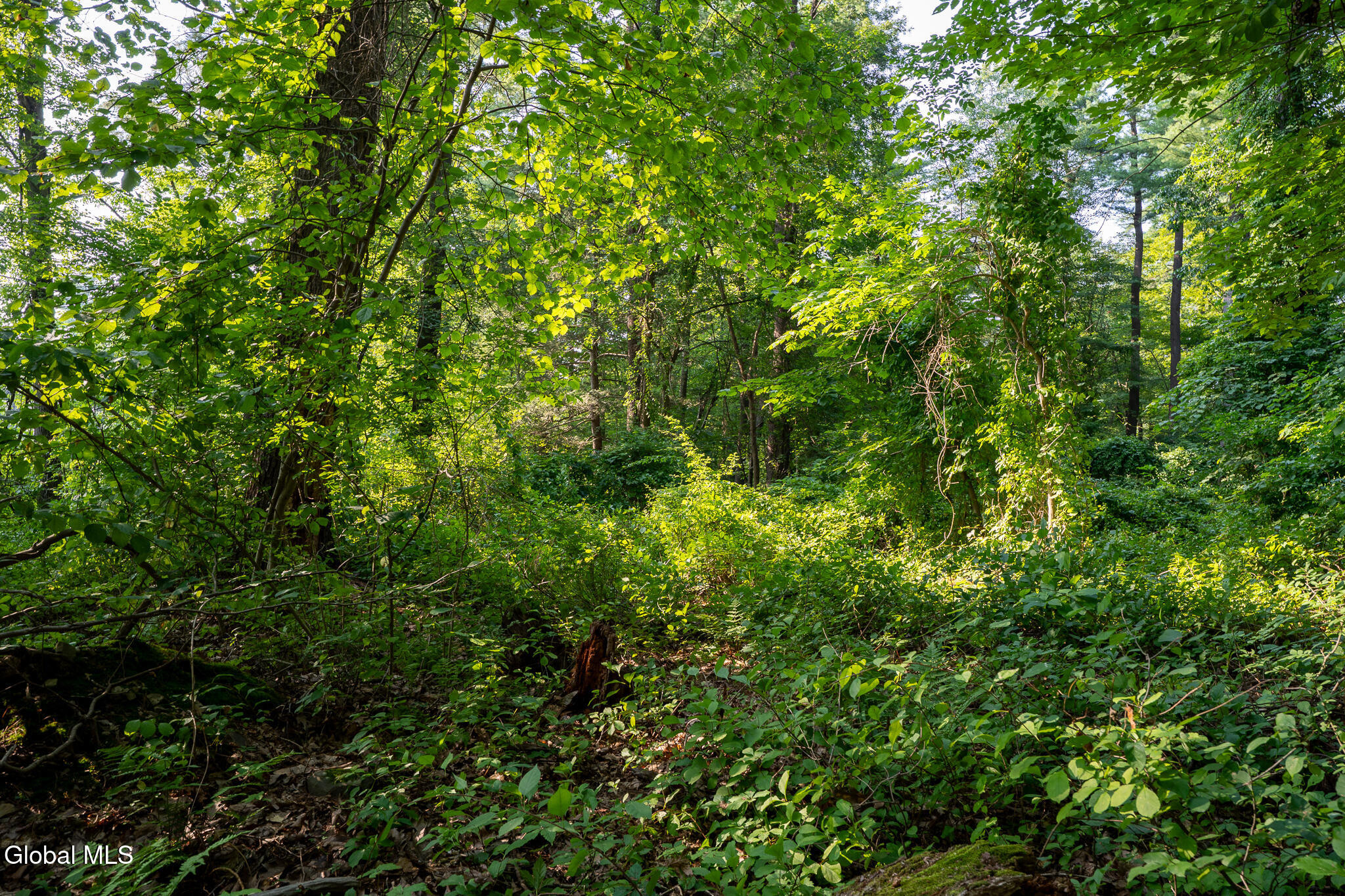 47 Wheeler Road Bethlehem, NY 12077 - Photo 8 of 8 DSC09246-HDR
