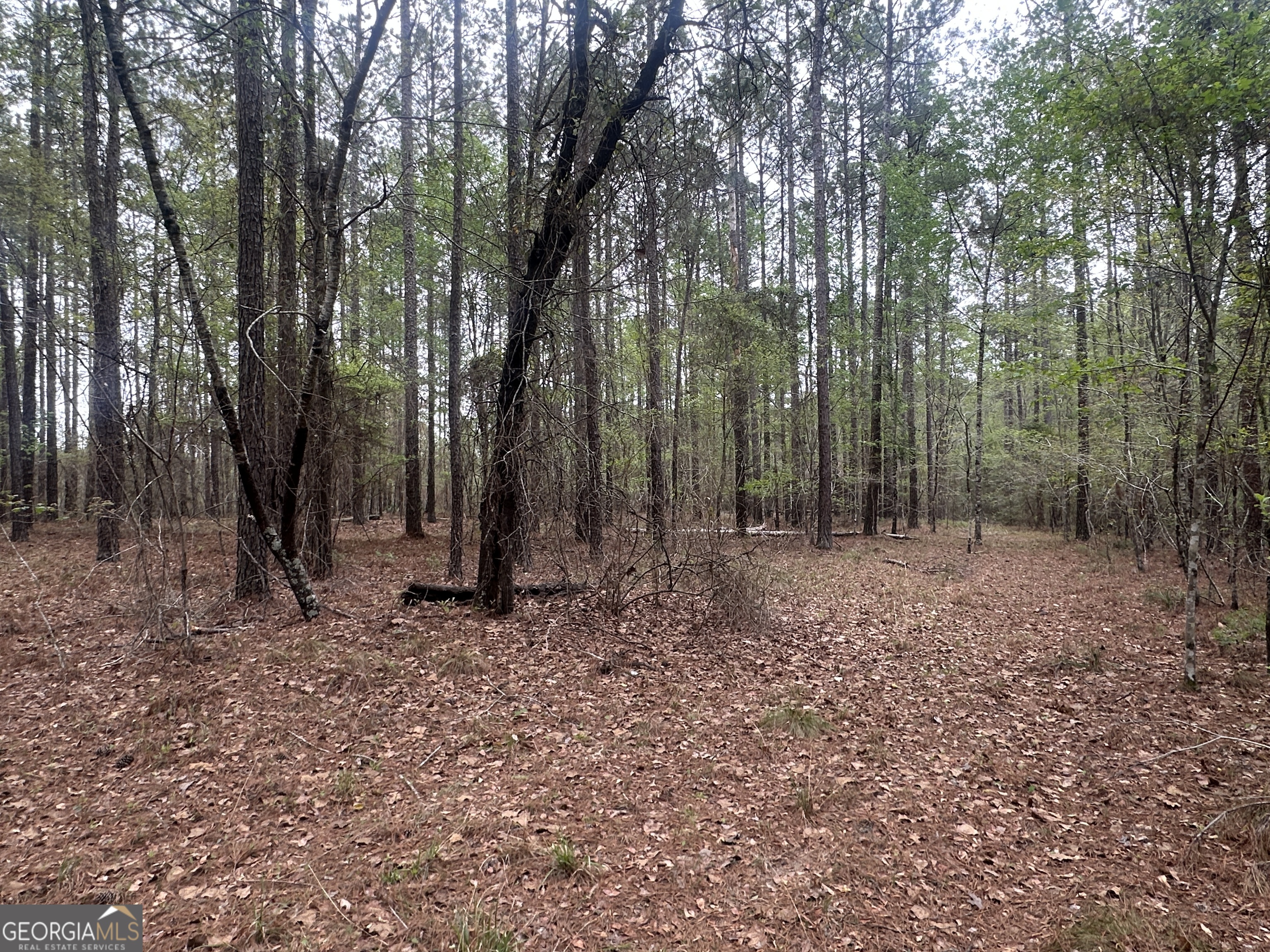 0 Fred Chance Road Millen, GA 30442 - Photo 19 of 19