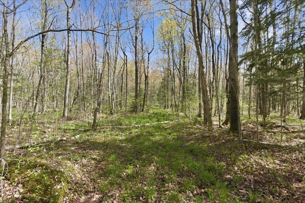 W585 Strucker Road Ogema, WI 54459 - Photo 20 of 55