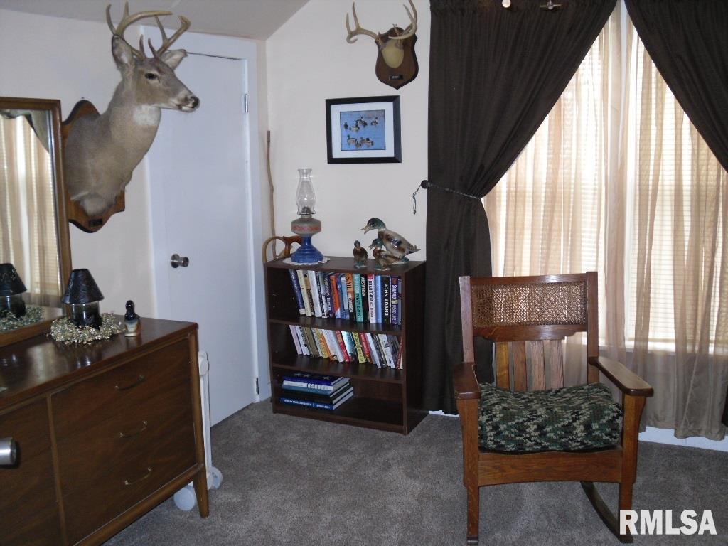301 Camp Street Iuka, IL 62849 - Photo 31 of 34 Gallery Image 31