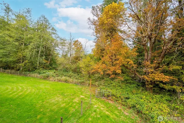 a view of yard with green space