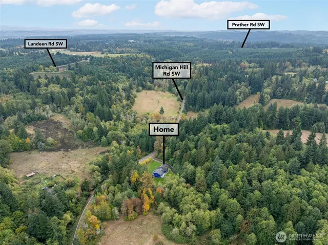 a view of a city with lush green forest