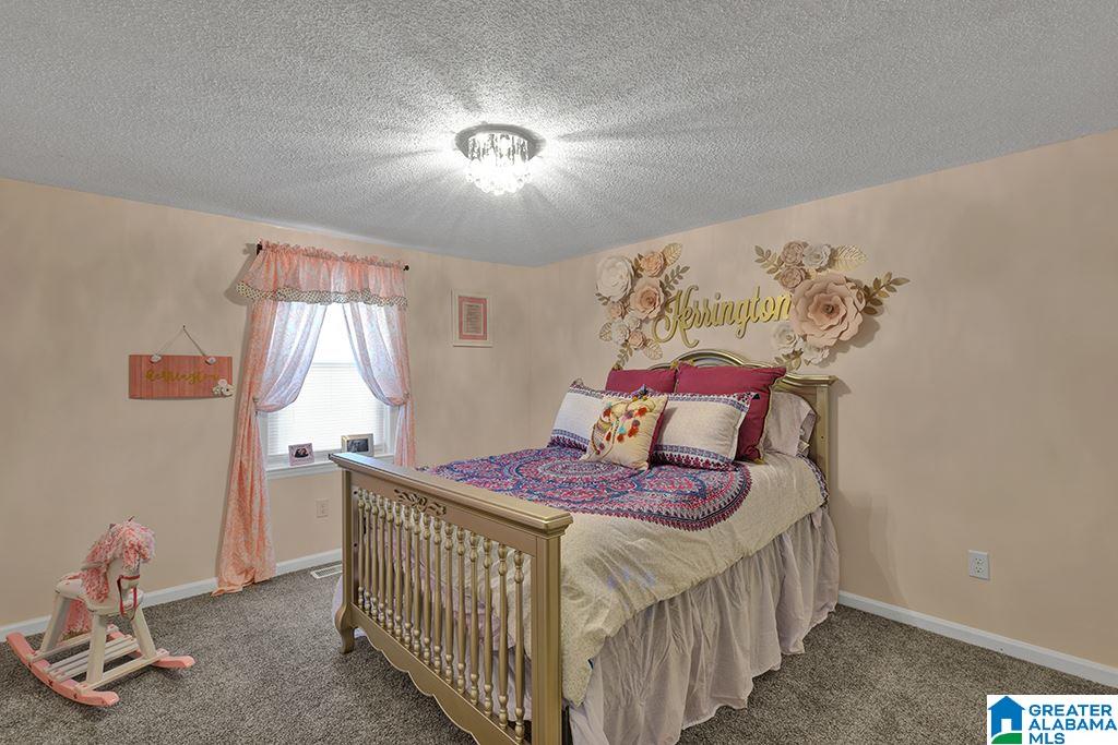 4543 Barrett Road Dora, AL 35062 - Photo 8 of 26
