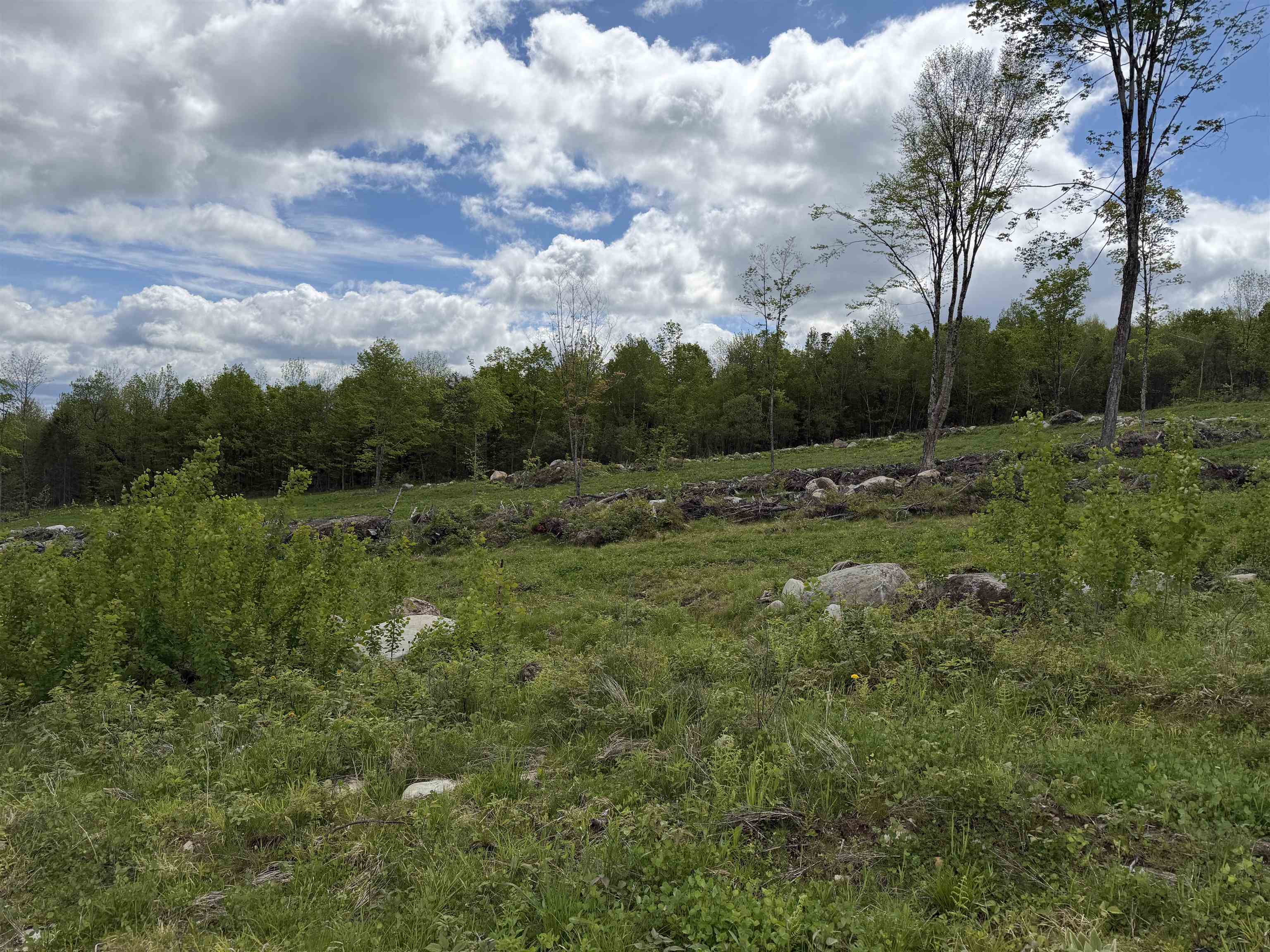 0 Gibbs Road, Unit LOT #2 Newport Center, VT 05857 - Photo 7 of 11