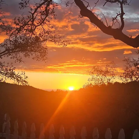 $629,500 | 46455 Konklin Road, Coarsegold, CA 93614