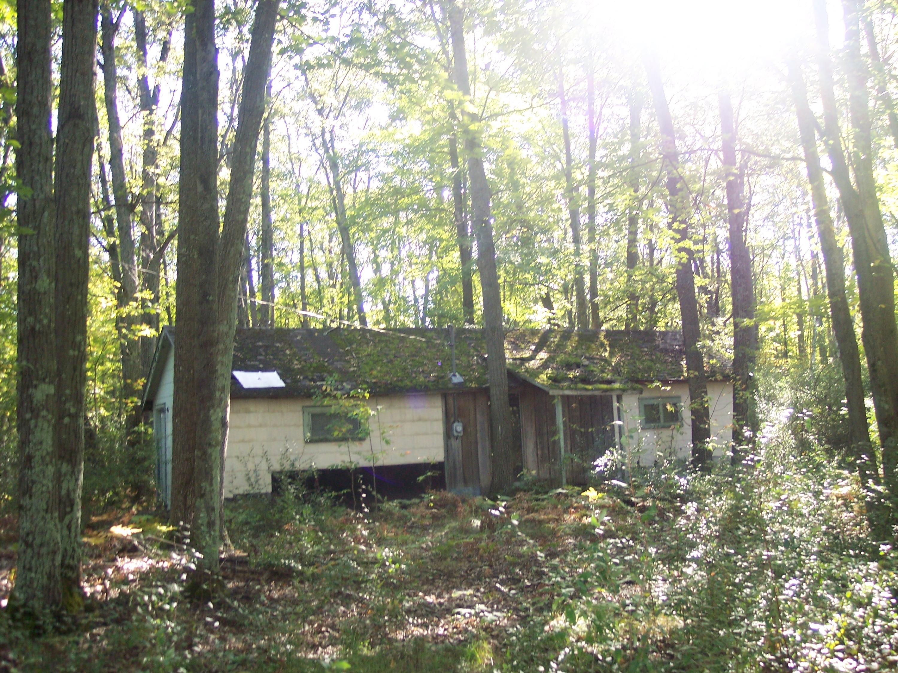 5333 Scott Road Hubbard Lake, MI 49747 - Photo 9 of 10 Gallery Image 9