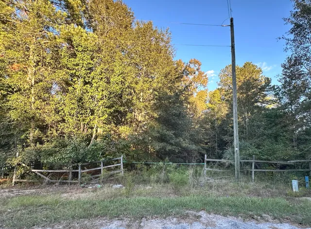 $19,900 | 214 Sparklewood Drive, Orangeburg, SC 29115