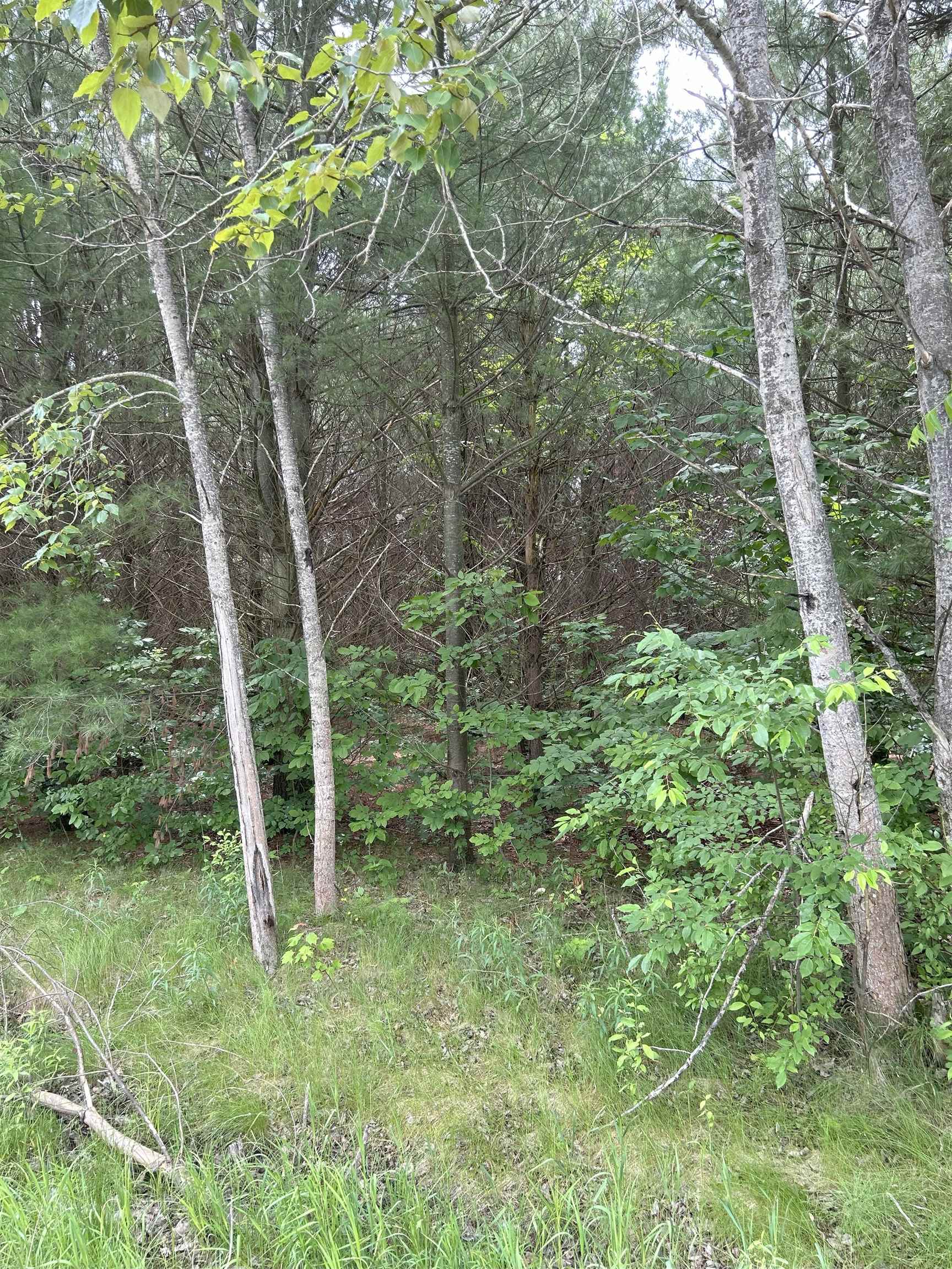 V/l Radov Road Gladwin, MI 48624 - Photo 3 of 5