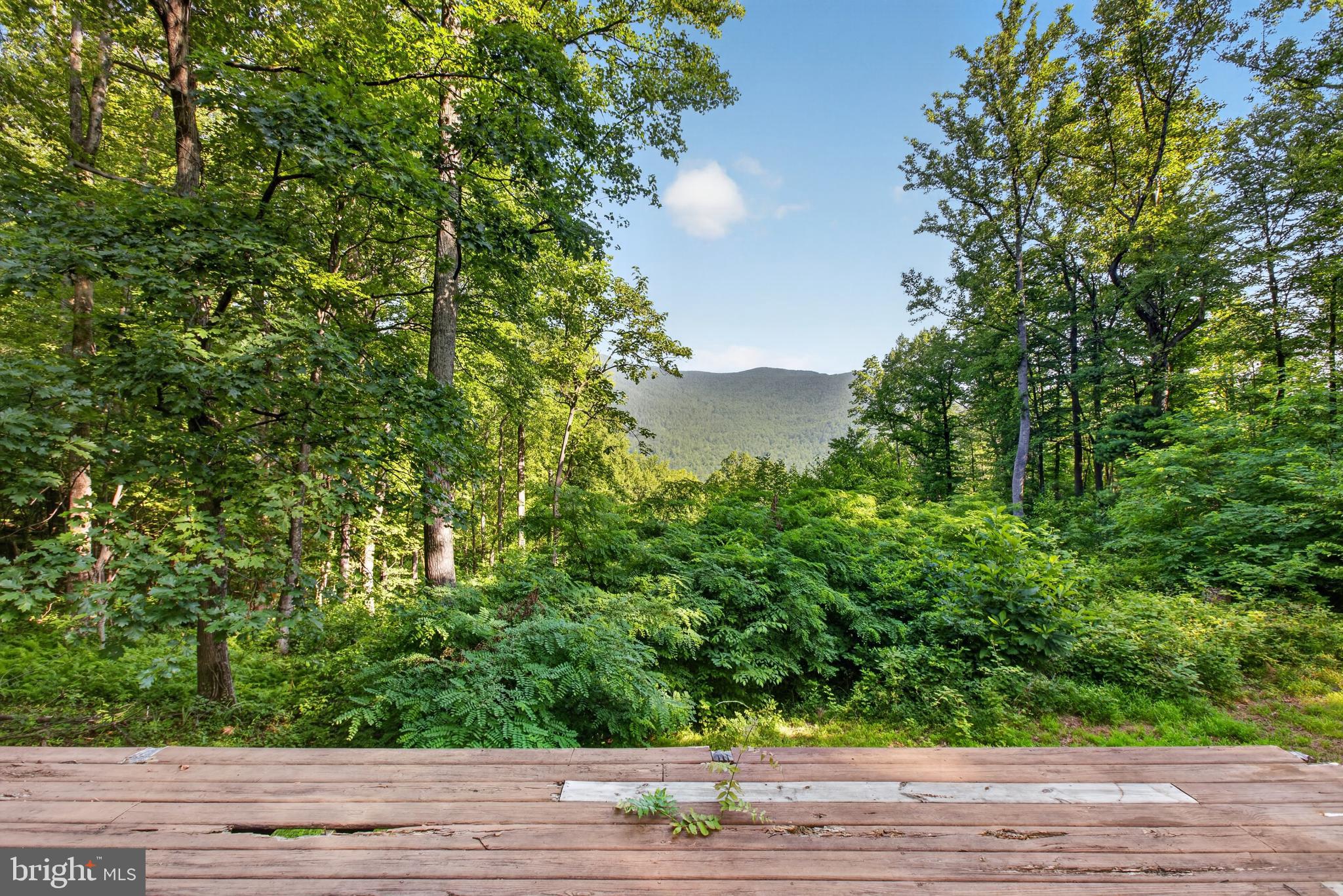 453 Lost Valley Road Madison, VA 22727 - Photo 44 of 54