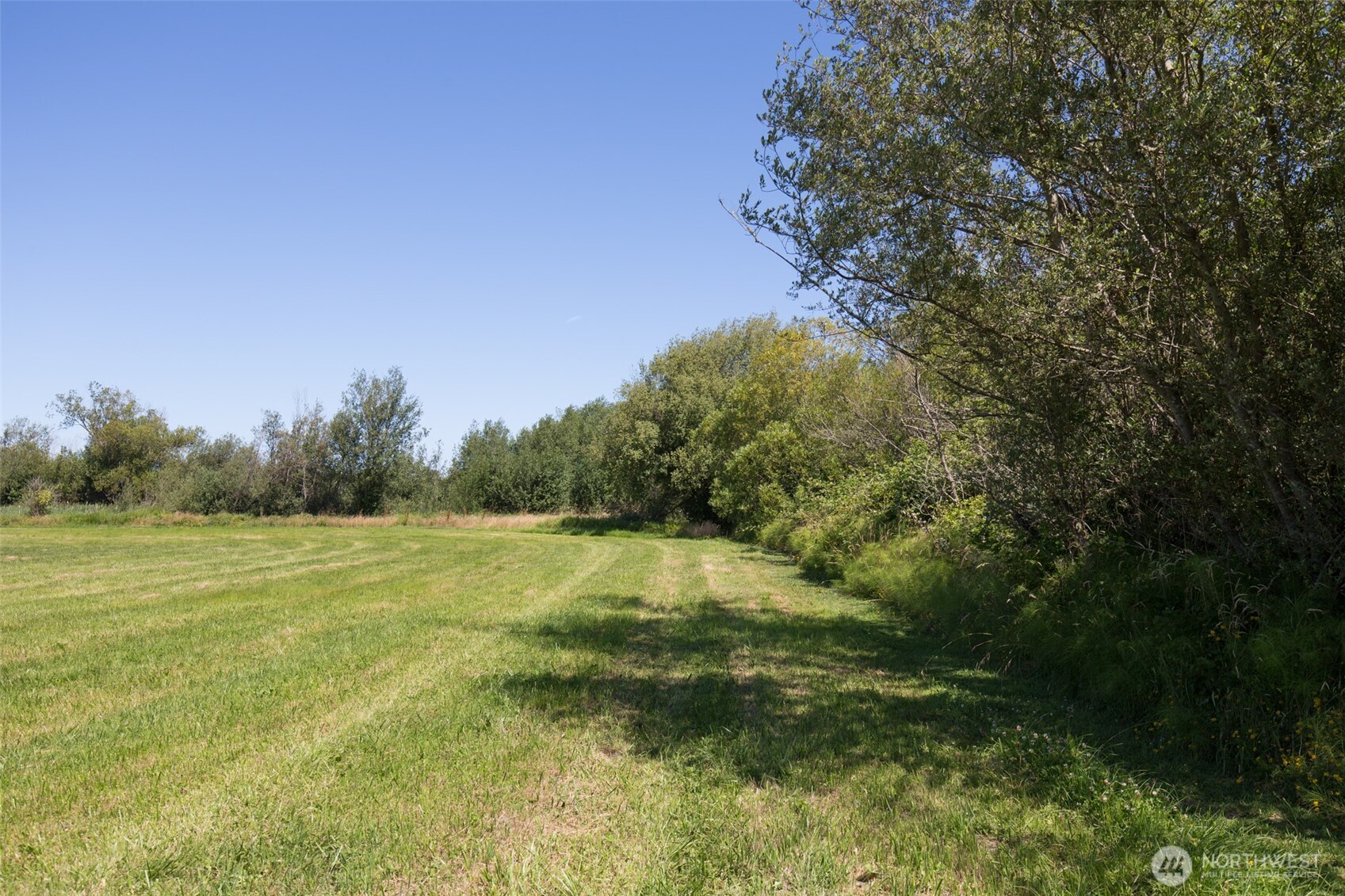 0 Buttercup Lane Sequim, WA 98382 - Photo 12 of 32 a view of an outdoor space and a yard