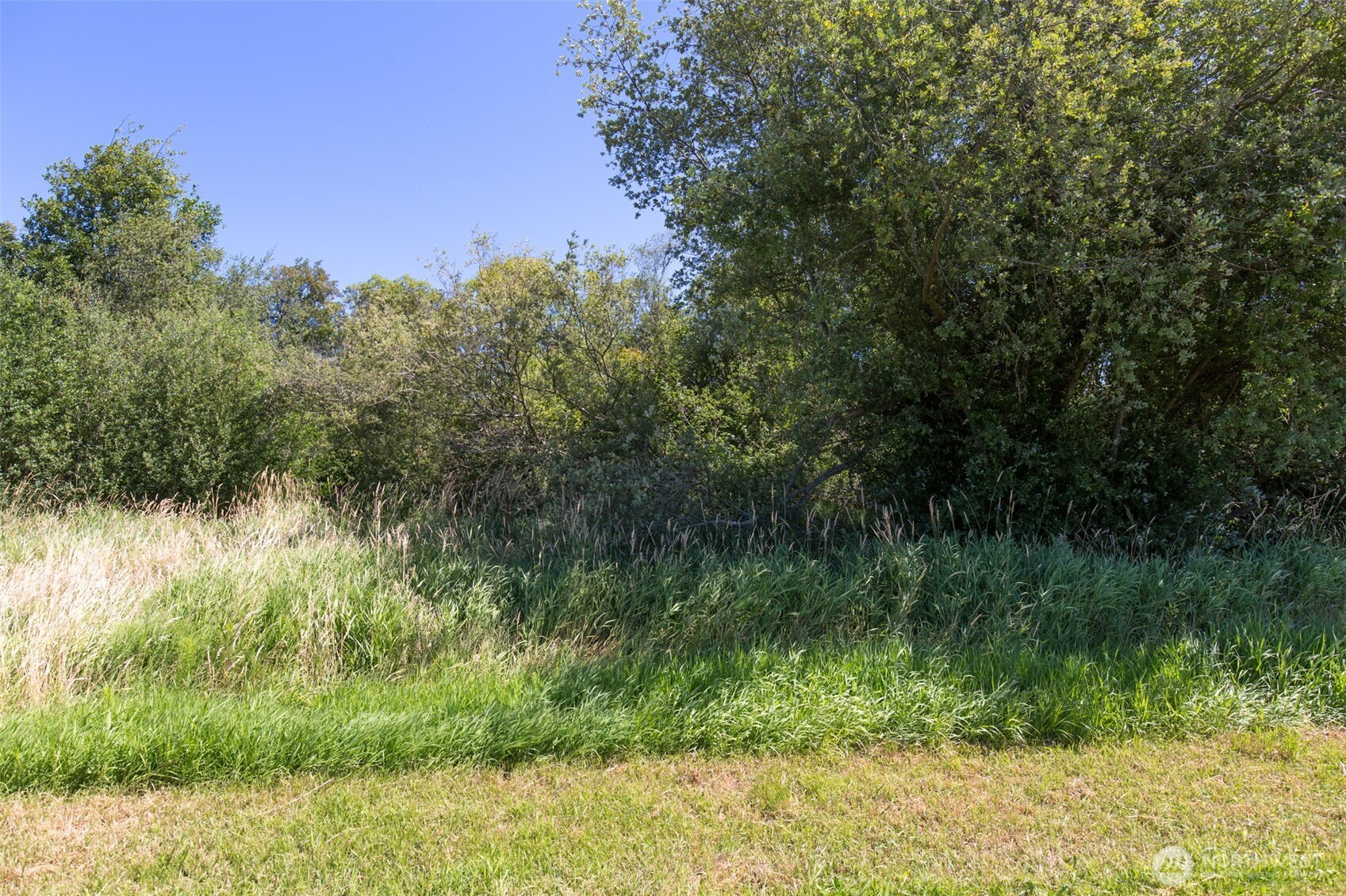 0 Buttercup Lane Sequim, WA 98382 - Photo 15 of 32 a view of a garden