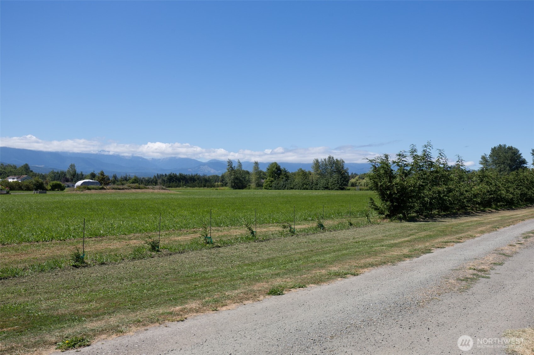 0 Buttercup Lane Sequim, WA 98382 - Photo 20 of 32 front view of a house with a yard