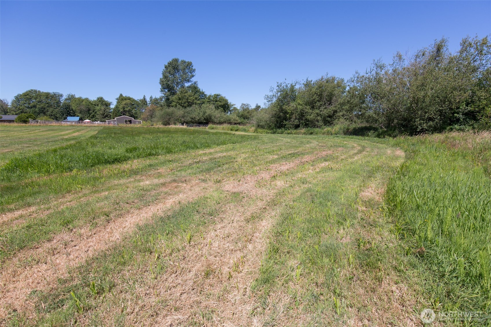 0 Buttercup Lane Sequim, WA 98382 - Photo 21 of 32 a backyard of a house with lots of green space