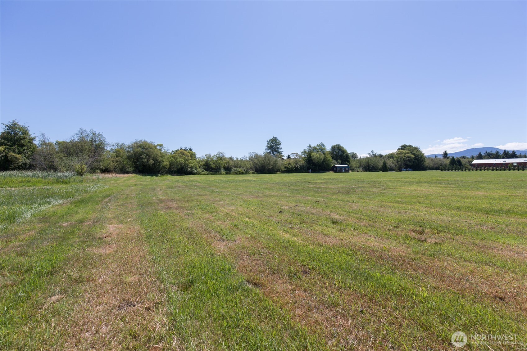 0 Buttercup Lane Sequim, WA 98382 - Photo 22 of 32 a view of a field with trees in background