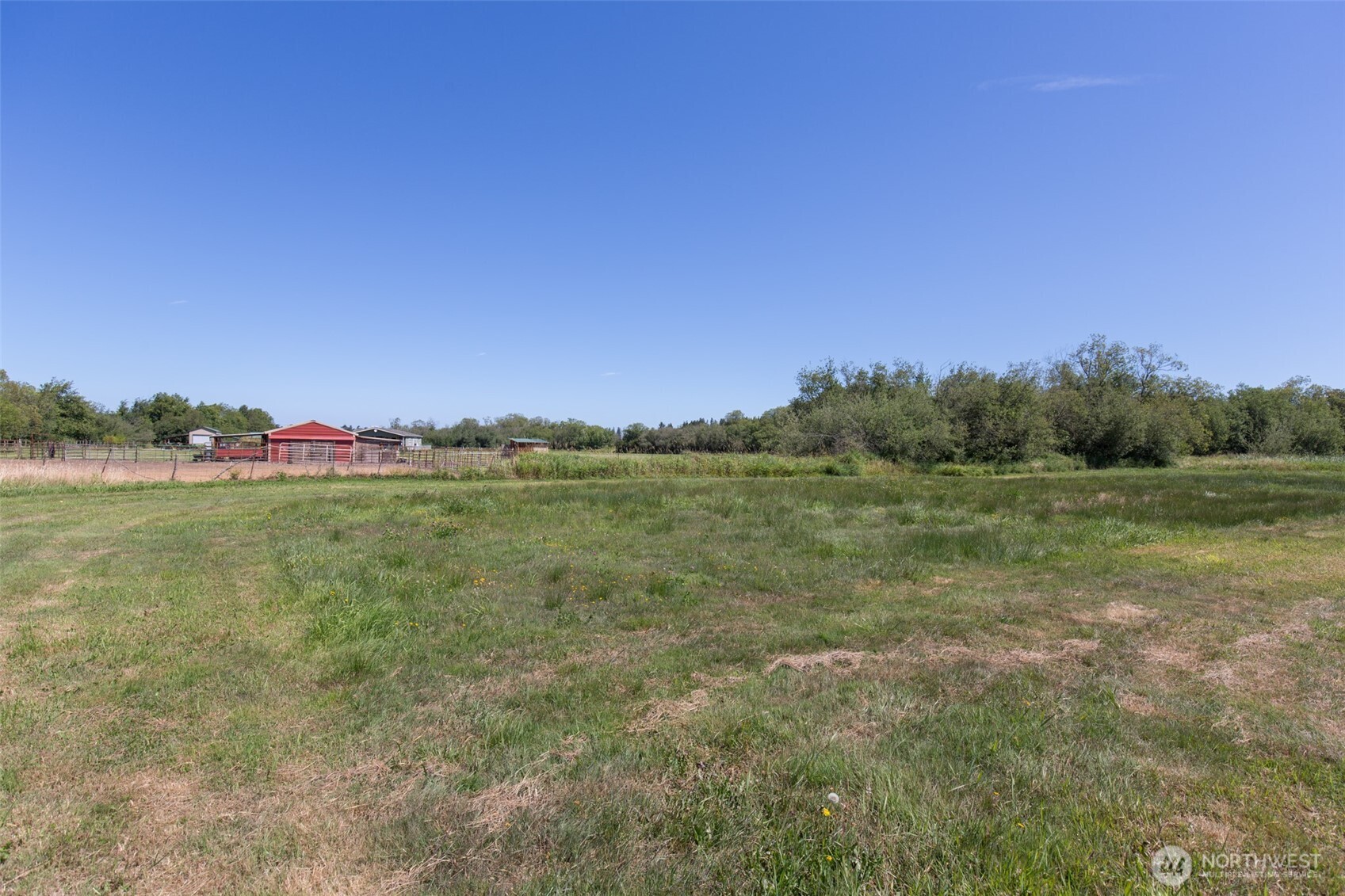 0 Buttercup Lane Sequim, WA 98382 - Photo 23 of 32 a view of a field with an trees in the background