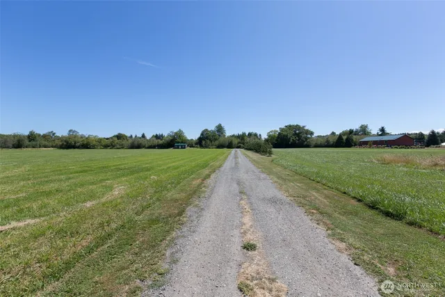 a view of a field with an ocean