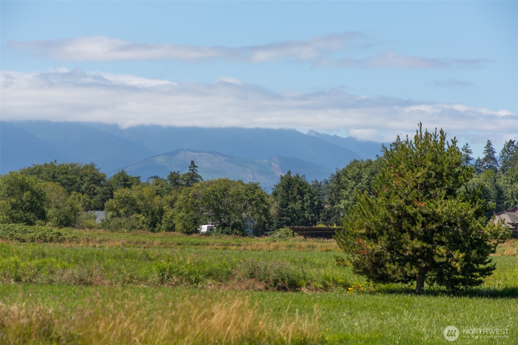 0 Buttercup Lane Sequim, WA 98382 - Photo 32 of 32