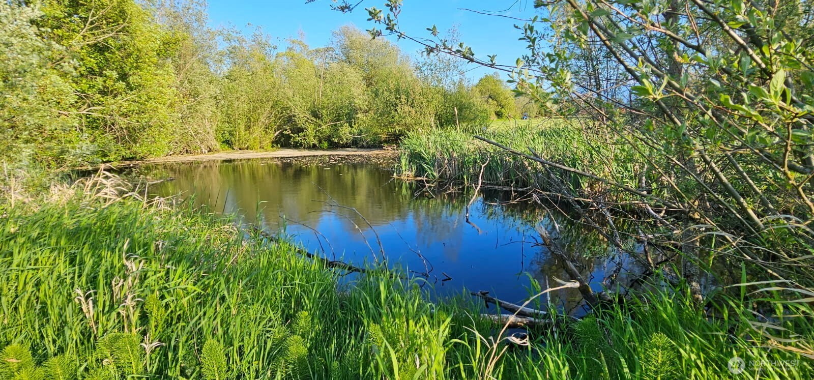 0 Buttercup Lane Sequim, WA 98382 - Photo 6 of 32 a view of a lake in the forest
