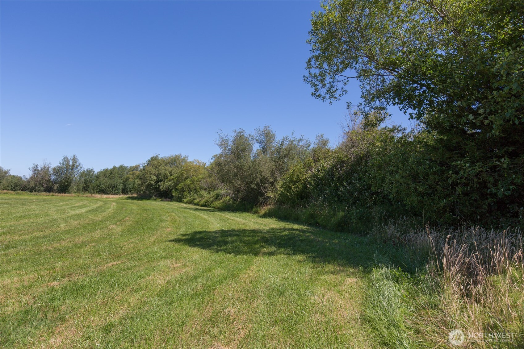 0 Buttercup Lane Sequim, WA 98382 - Photo 9 of 32 a view of outdoor space and yard